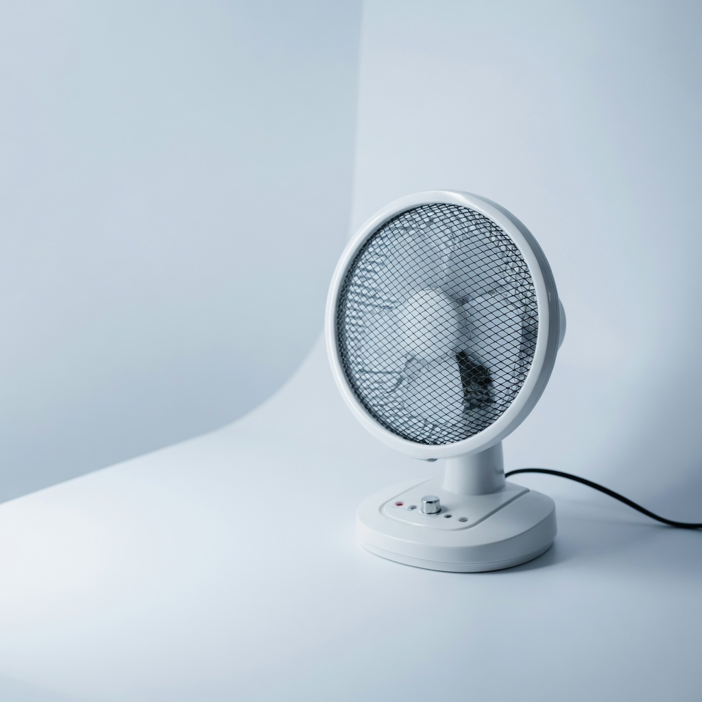 Fans & Lights